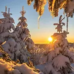 Gentiane Fermette Hautes Vosges 别墅