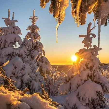 Vila Gentiane Fermette Hautes Vosges Tendon