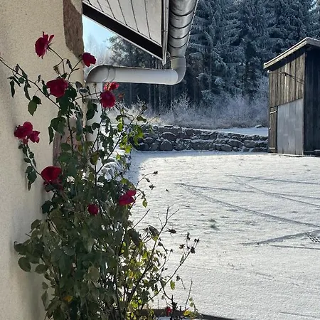 Gentiane Fermette Hautes Vosges Vila Tendon