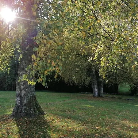 Gentiane Fermette Hautes Vosges ヴィラ *