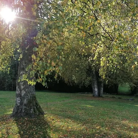 Vila Gentiane Fermette Hautes Vosges