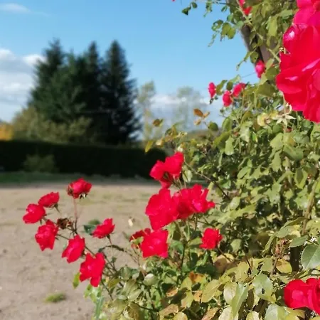 Gentiane Fermette Hautes Vosges Vila *