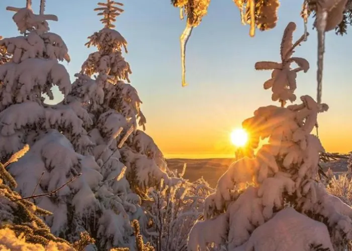 Gentiane Fermette Hautes Vosges 别墅