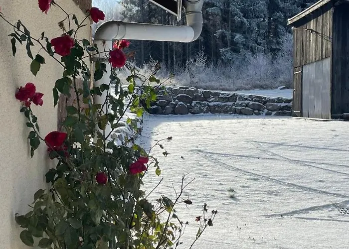 Gentiane Fermette Hautes Vosges * 特恩顿