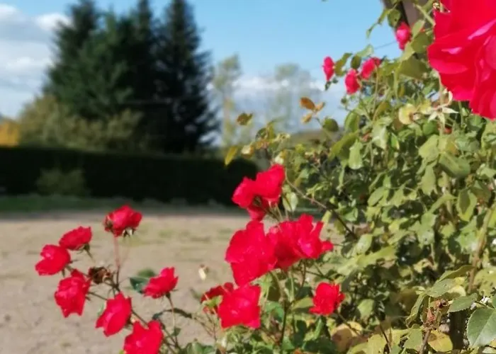 Gentiane Fermette Hautes Vosges 别墅 *