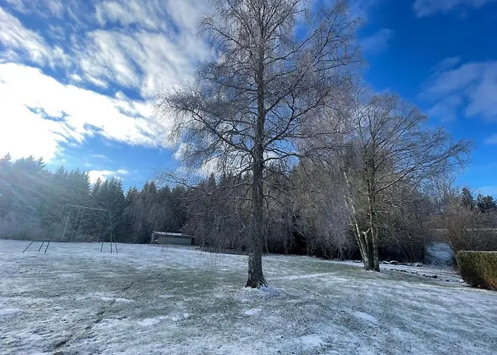 Gentiane Fermette Hautes Vosges *